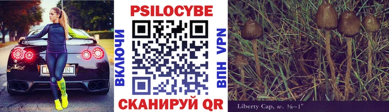 Псилоцибиновые грибы MAGIC MUSHROOMS  Петровск 